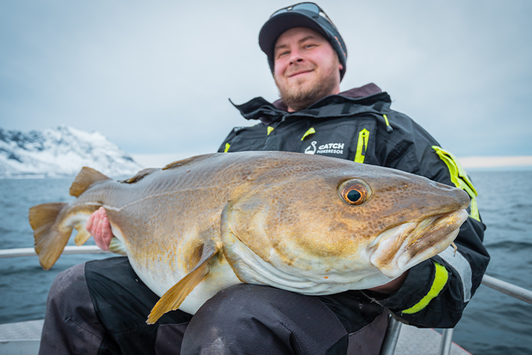 Best Time of Year for Sea Fishing in Norway