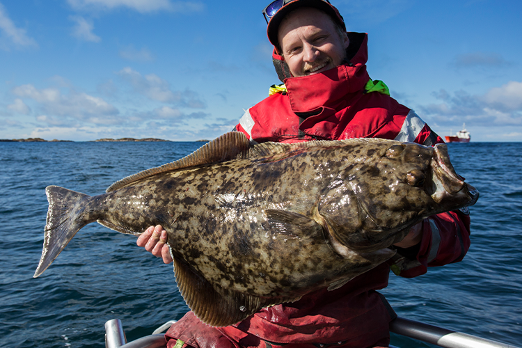 Best Time of Year for Sea Fishing in Norway