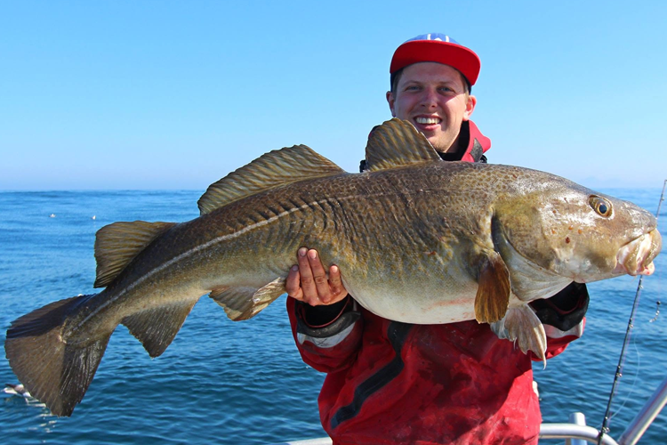 Best Time of Year for Sea Fishing in Norway